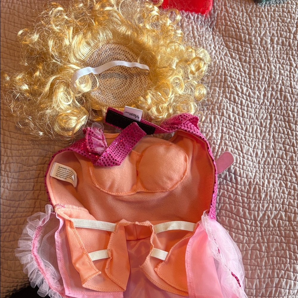 Dolly parton dog costume - Picture 2 of 2
